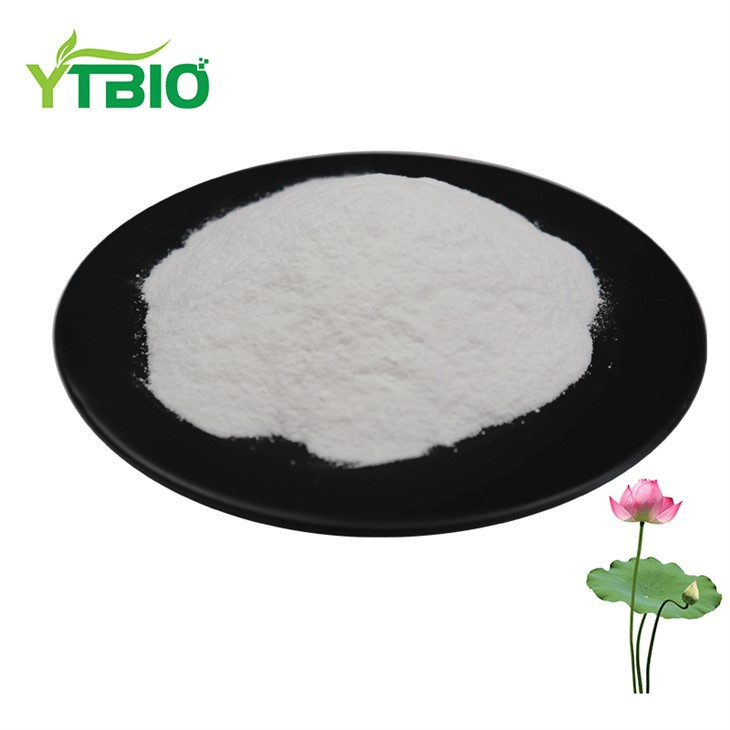Nuciferine Powder